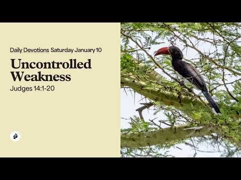 Uncontrolled Weakness – Daily Devotional