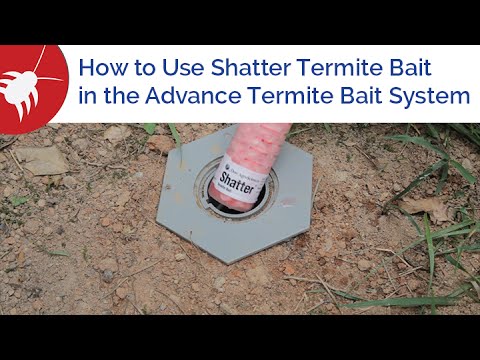  How to Use Shatter Termite Bait in the Advance Termite Bait System Video 