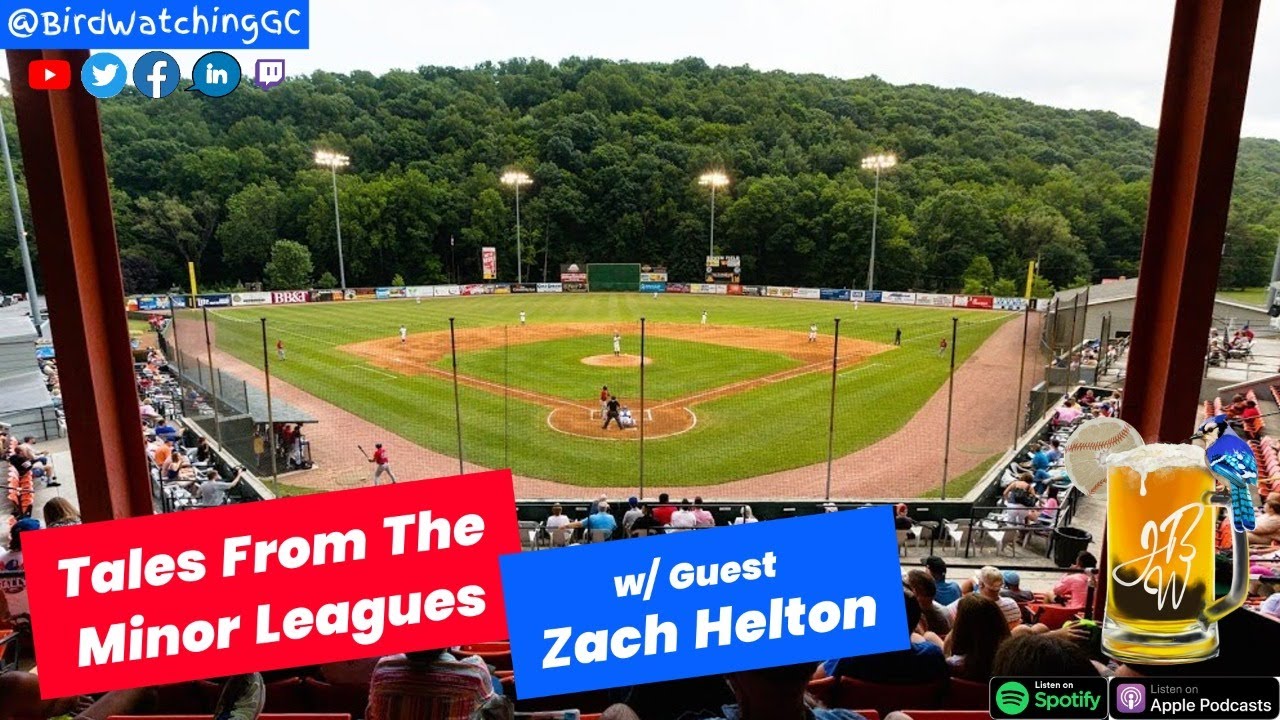 Tales From The Blue Jays Minor Leagues