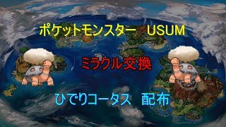 【ポケモンUSUM】ひでりコータス流します【ミラクル交換】