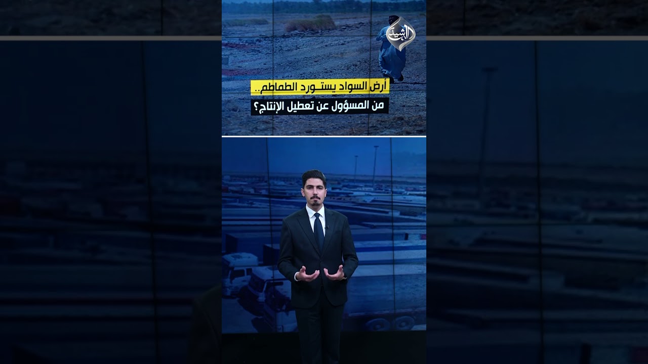 فيديو | موائد العراقيين تدعو لانقاذ الطماطة
