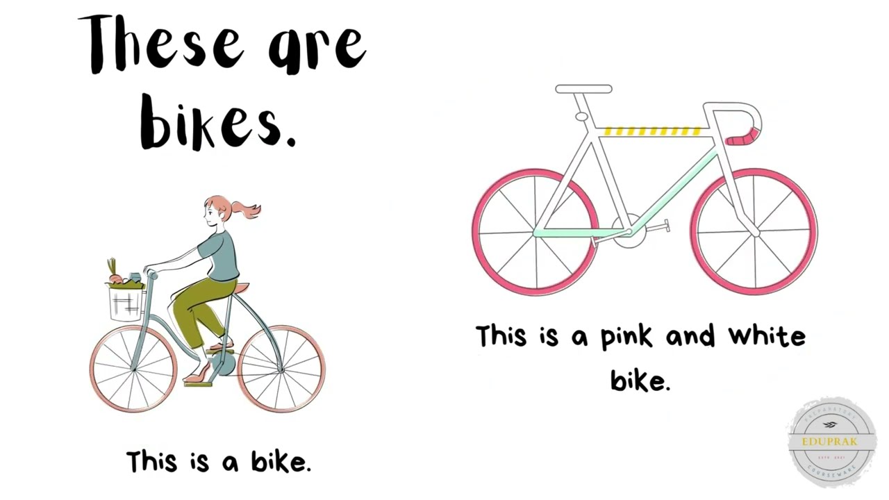 These are bikes ( PDF DOWNLOAD IN DESCRIPTION)