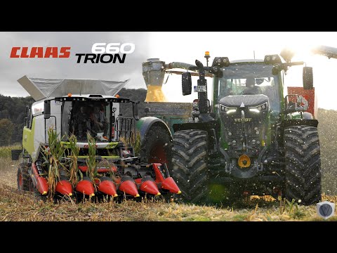 CLAAS TRION 660 TT and FENDT tractors | Corn Harvest 2023 | Drone & Sound [4K UHD]