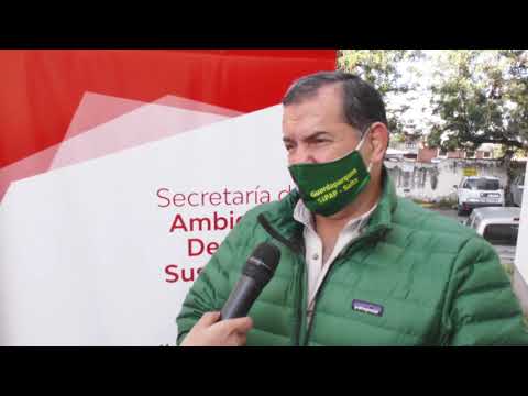 En Salta, se duplicó la población de Guacamayos Verdes