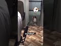 Dog Dancing To The Beat Of Music