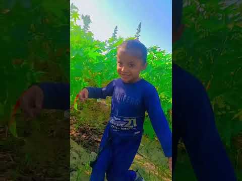 જેણે જેણે ઘૂઘરી વાલા ઝાઝર નો ઝણકાર રે #love #musicgenre #dance #viralvideo #dancemusic #song