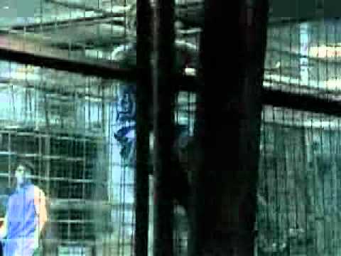 Nike Soccer - The Secret Tournament (Full Version)