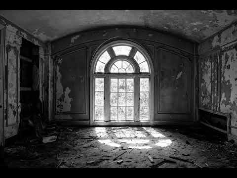 Fieldtree - The Gallery