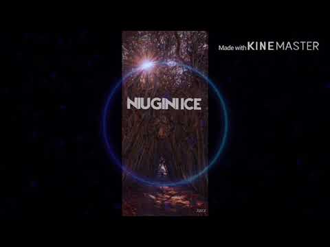 Dj Zetro X Pakx Style ft Kelechi Africana - Hamida (Pakx Afro style 2020) niugini Ice ♣️♣️♣️