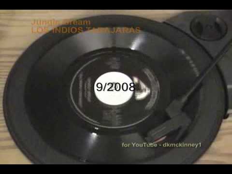 download lagu mp3 mp4 Jungle Dream, download lagu Jungle Dream gratis, unduh video klip Jungle Dream