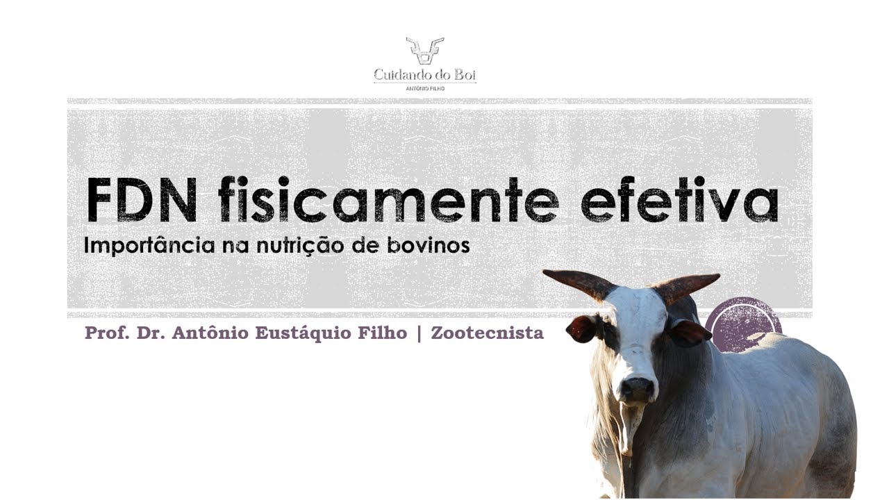 Importância de FDN fisicamente efetiva na Nutrição de Bovinos.