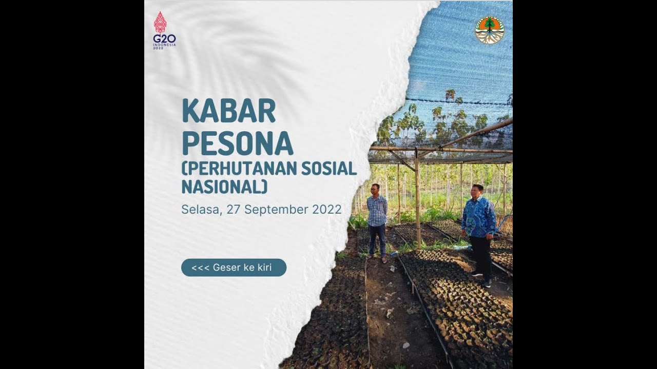KABAR PESONA (PERHUTANAN SOSIAL NASIONAL) SELASA, 27 SEPTEMBER 2022