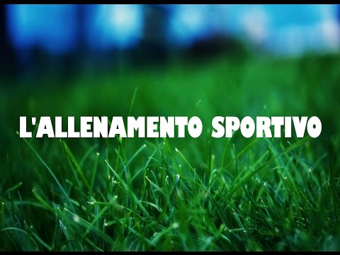 Sport Scienze Motorie : L' ALLENAMENTO SPORTIVO ( scienze motorie - sport - Basi scienze motorie )