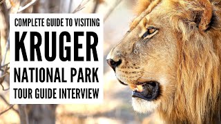 KRUGER NATIONAL PARK Travel Guide, South Africa | Tour Guide Interview | Plan Your Visit