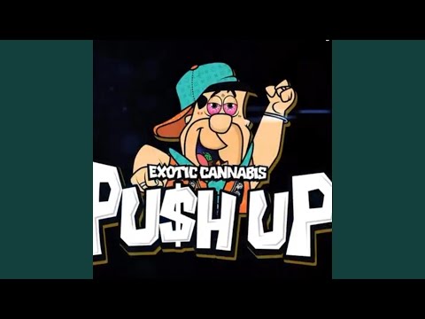 Pu$h Up (feat. 448P3)