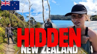 We Didn’t Expect To Find This On New Zealand’s Third Island