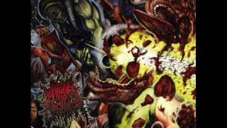 Waking The Cadaver- Raped Pillaged and Gutted *lyrics*