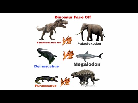 T Rex vs Palaeloxodon and Deinosuchus vs Megaldon and Purussaurus vs Ankylosaurus