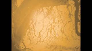 Golden Void - Badlands