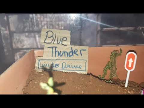 Off Road creativity by Dweej Shinde