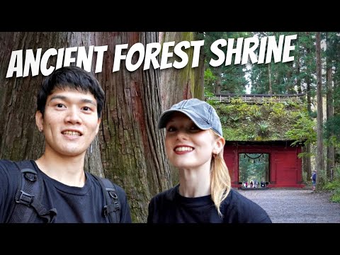 Day In My Life Exploring Central Japan | Inside Japan’s ANCIENT Forest Shrine