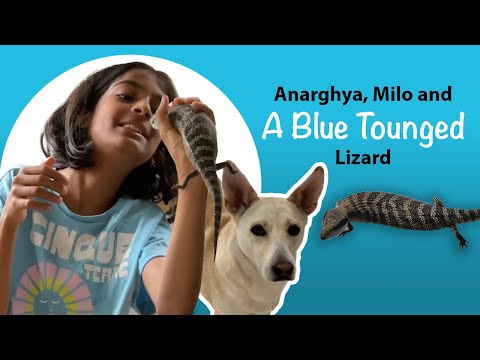 Anarghya, Milo and a Blue-Tongued Lizard!