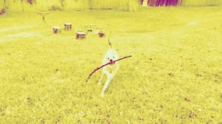 Daisyhead - Bodies (Official Music Video)