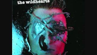 The Wildhearts- Tv Tan