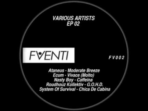 SYSTEM OF SURVIVAL - Chica De Cabina - EP 02 - FVENTI 002