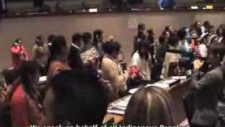 REDD   "2nd MAY REVOLT" at the UNPFII ( REDD, CDM)