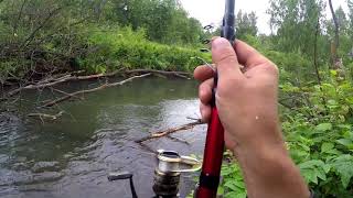 На что ловить хариуса в августе амурской области