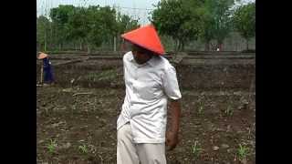 Download lagu Koruptor Keparat - Adi ( Sudjiadi ) mp3