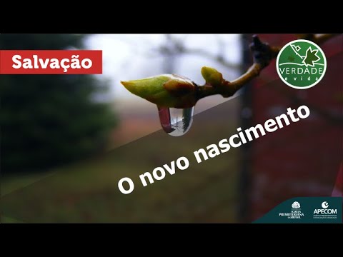 0663 - O novo nascimento