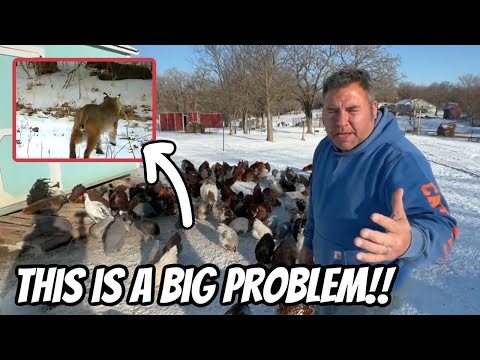 They Are All In Danger Now!! we Are On High Alert!!