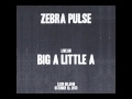 Zebra Pulse Live on Big A Little A  (October 12, 2013 CJSR 88.5FM)