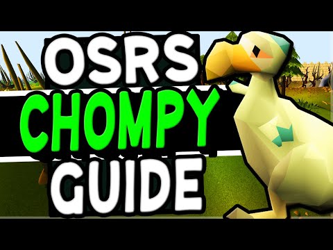 The Ultimate Chompy Hunting Guide Old School Runescape