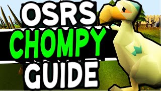 The Ultimate Chompy Hunting Guide Old School Runescape