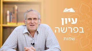 בין תקוה ליאוש: לדמותם של משה ומרים | הרב משה ליכטנשטיין | פרשת שמות תשפ"ו (ישיבת הר עציון) - התמונה מוצגת ישירות מתוך אתר האינטרנט יוטיוב. זכויות היוצרים בתמונה שייכות ליוצרה. קישור קרדיט למקור התוכן נמצא בתוך דף הסרטון