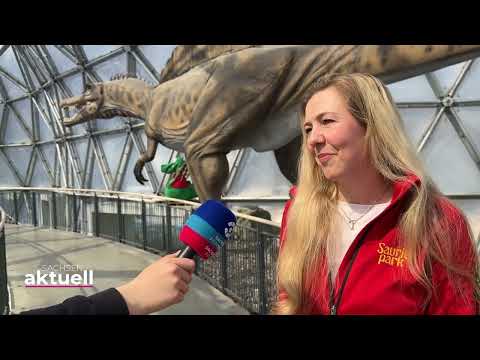 Saurierpark Bautzen im Test: Lohnt sich der Familienausflug? 🦕