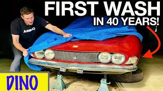 First Wash in 40 Years: RARE Fiat Dino Moldy Disaster Detail!