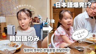 韓国語オンリーだった3歳、1ヶ月で日本語ペラペラに！？　일본어 못하던 한일혼혈 한달만에?