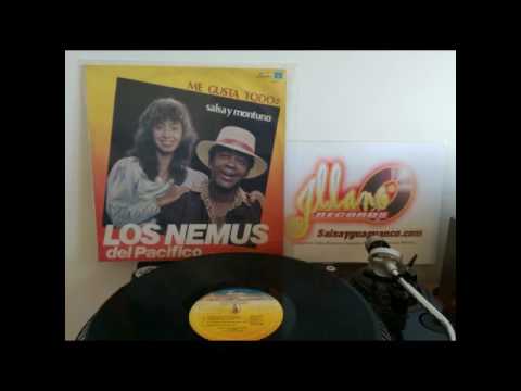 Los Nemus del Pacifico - Nadie sabe lo de adentro