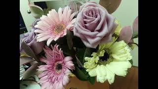 Download lagu 初见 纯伴奏 有和声 mp3