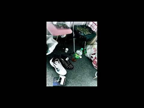 Gładki. JR - Mały książę