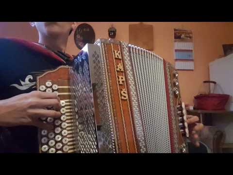 Te domače viže (Ansambel Fantje z vseh vetrov)