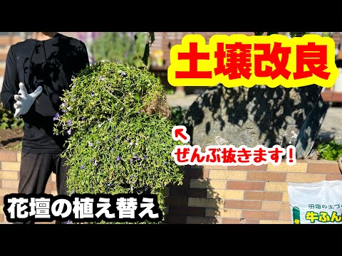 園芸 BRFで土壌改良