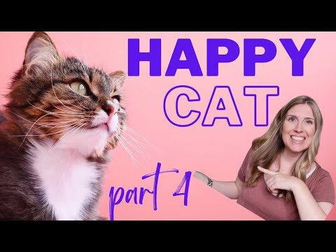 How To Raise A Happy Healthy Cat | Happy Cat Month September 2021, part 4