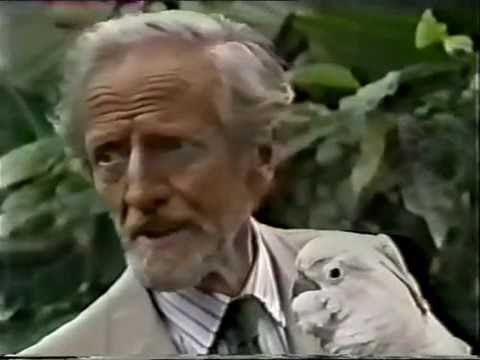 The Old Men at the Zoo - Episode Three (1983 BBC Drama)