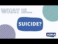 What is Suicide?