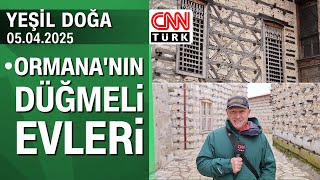 Türkiye'nin gizli hazinesi: Ormana'nın düğmeli evlerinin hikayesi - Yeşil Doğa